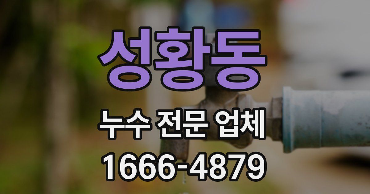 성황동 누수 전문 업체