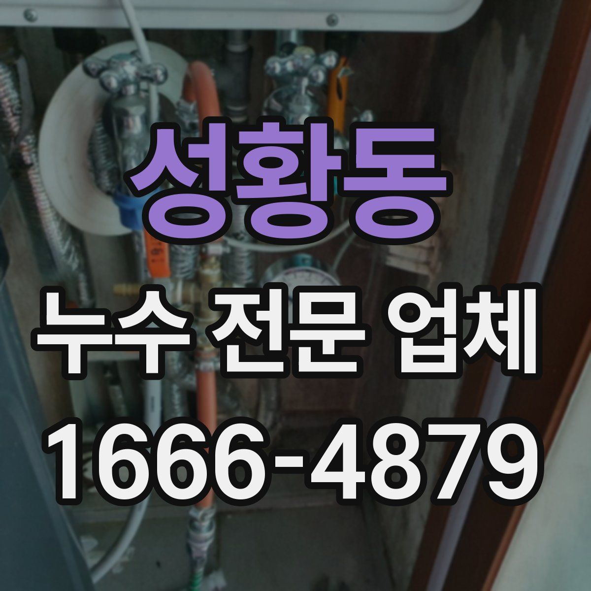 성황동 누수 전문 업체