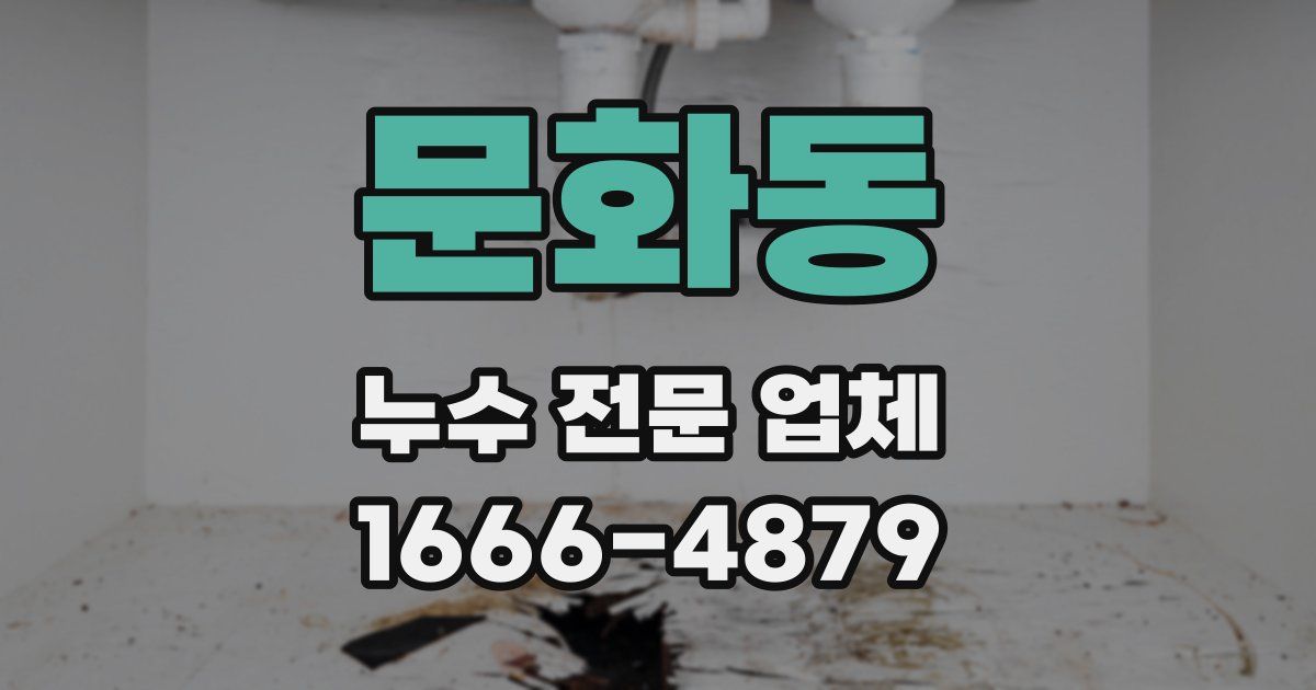 문화동 누수 전문 업체