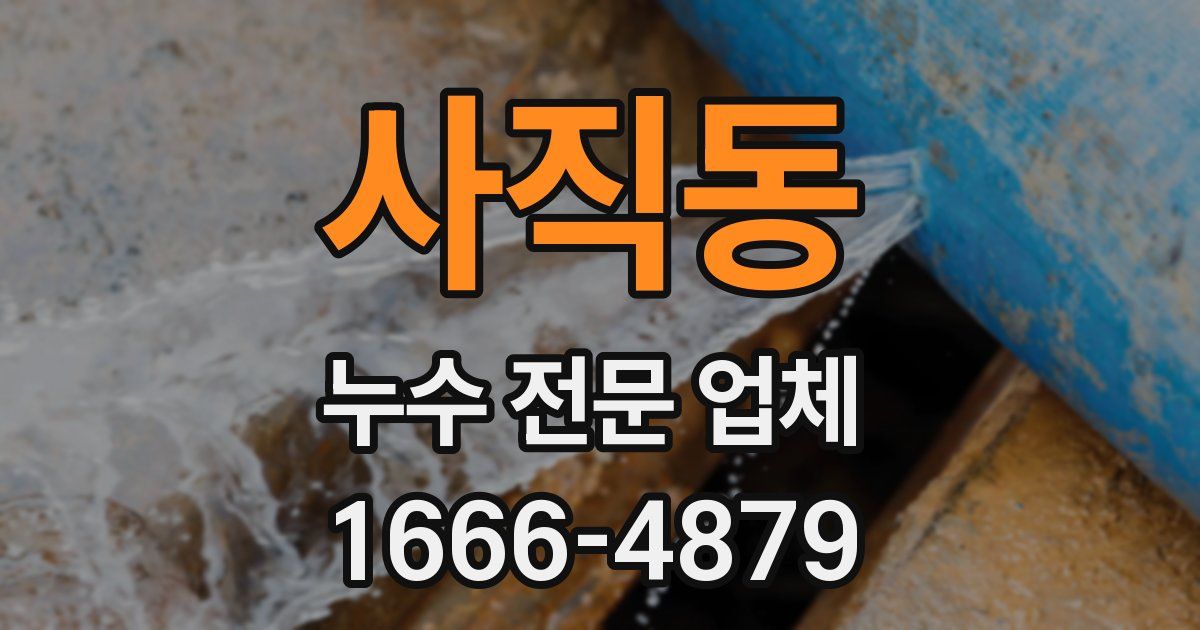 사직동 누수 전문 업체