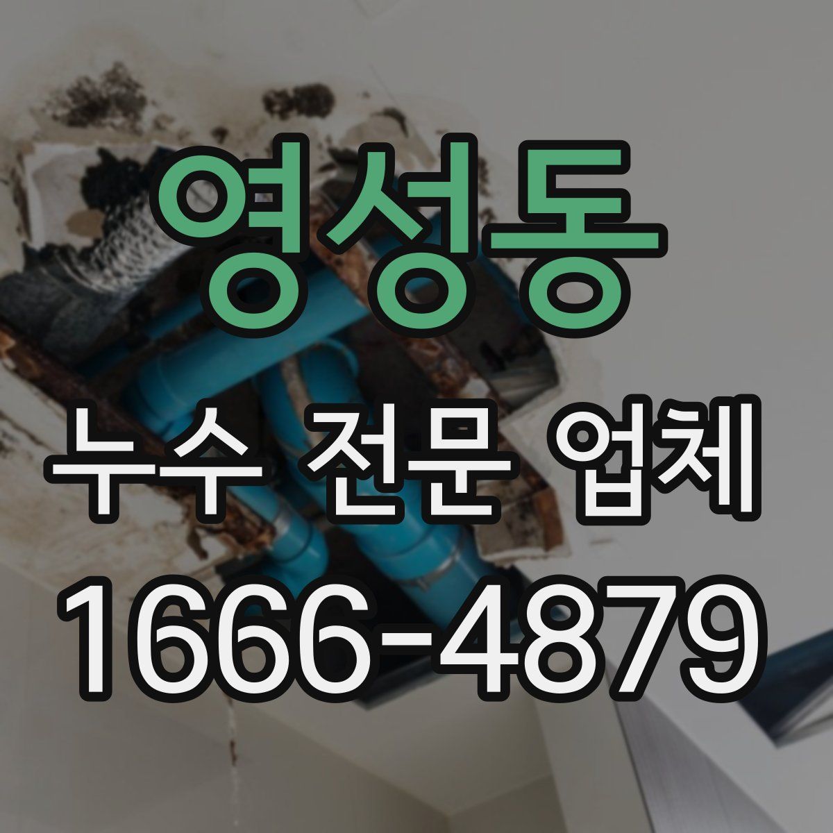 영성동 누수 전문 업체