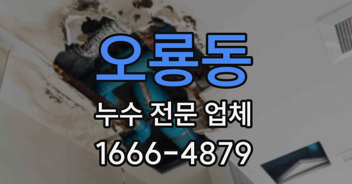 오룡동 누수 전문 업체