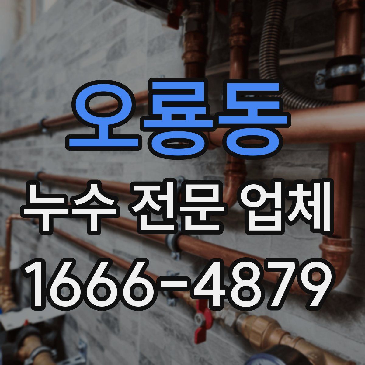 오룡동 누수 전문 업체