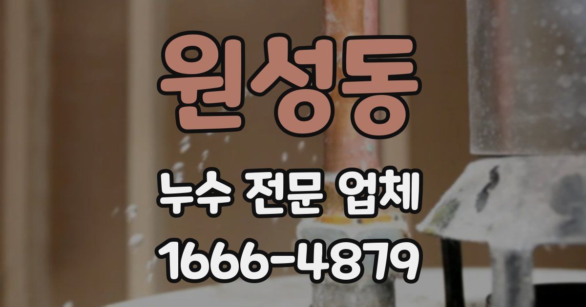 원성동 누수 전문 업체