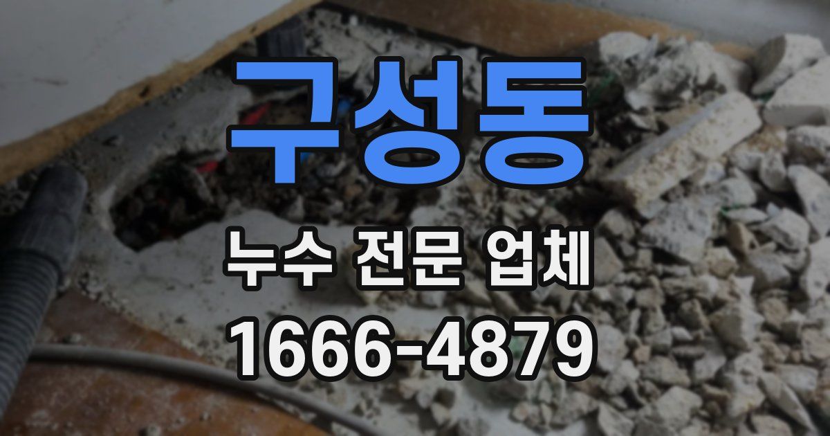 구성동 누수 전문 업체