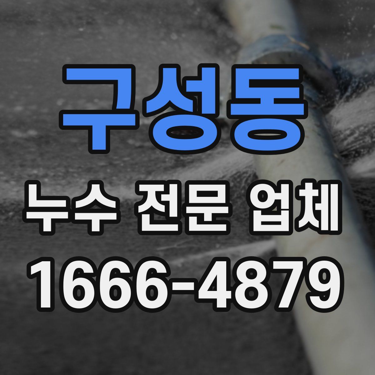 구성동 누수 전문 업체