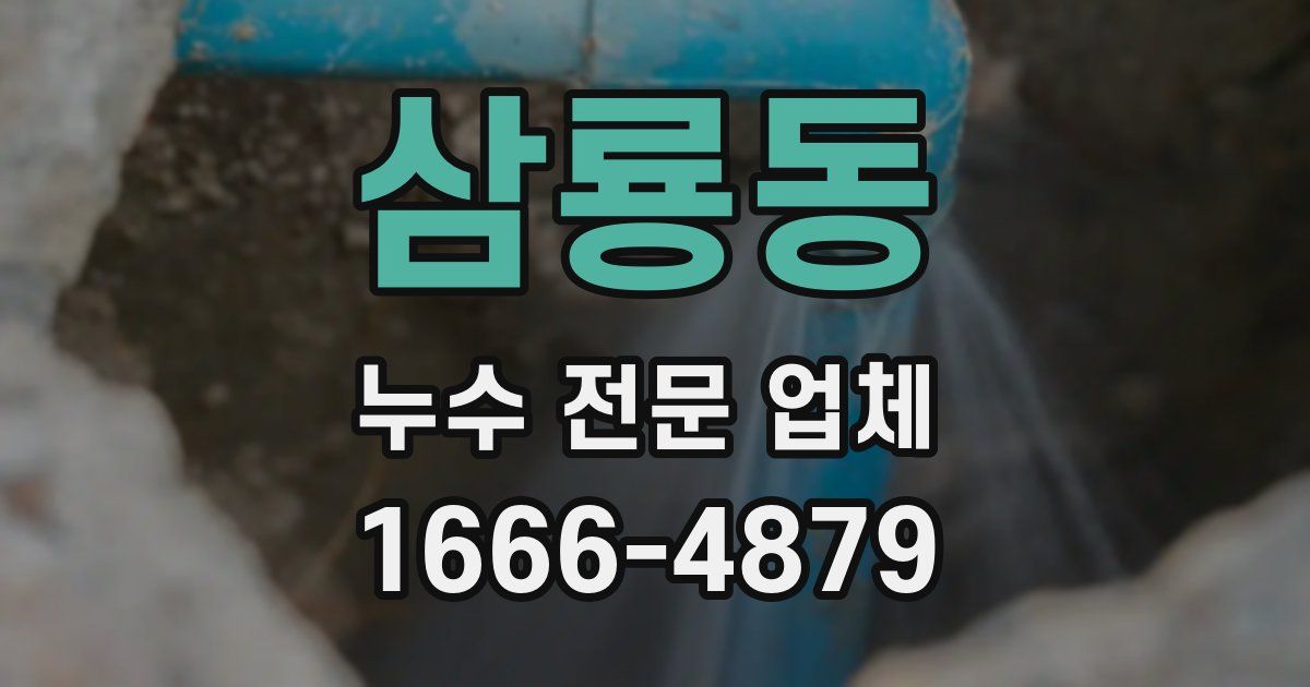 삼룡동 누수 전문 업체