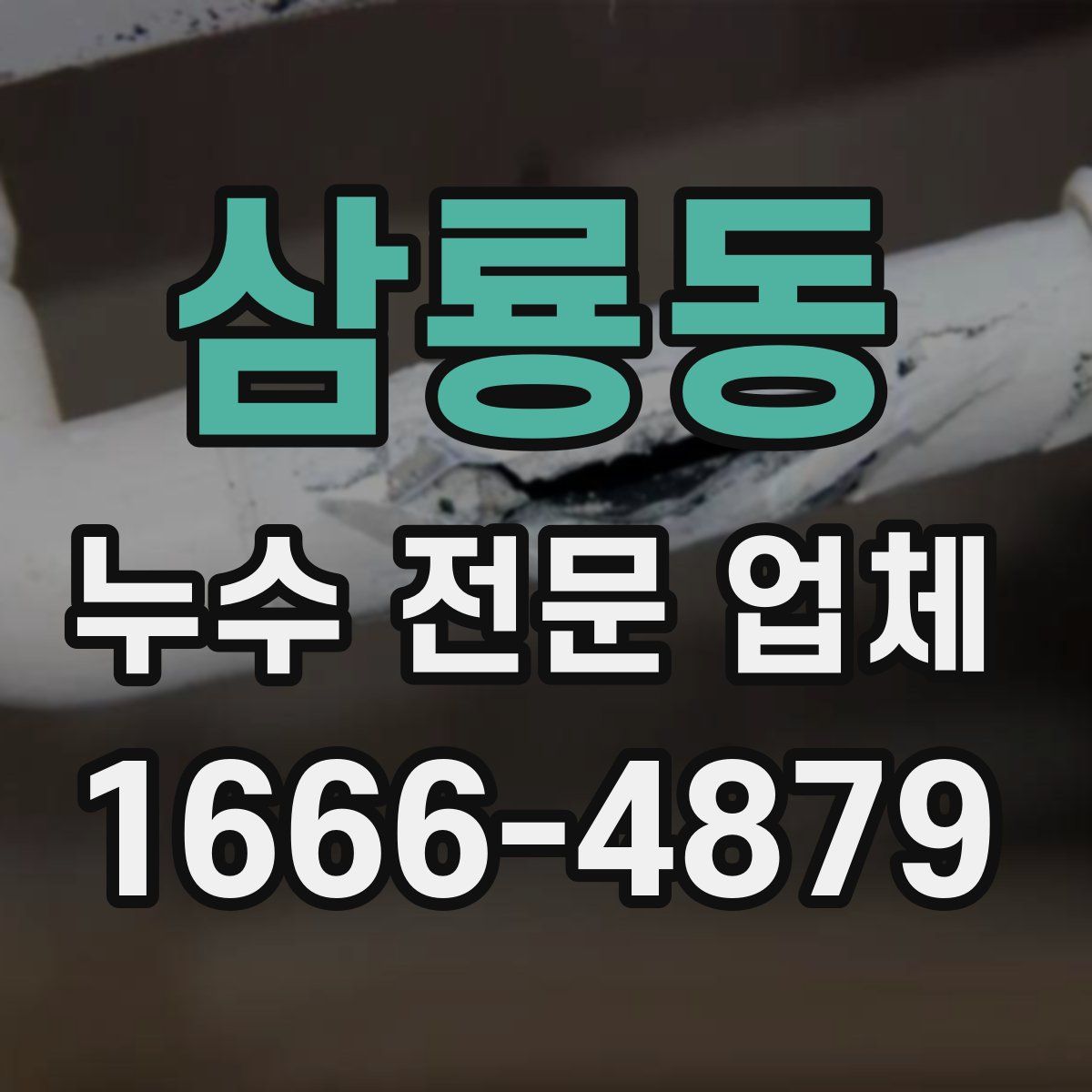 삼룡동 누수 전문 업체