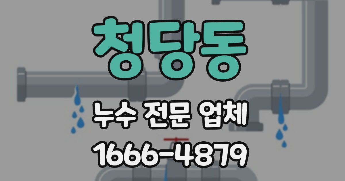 청당동 누수 전문 업체