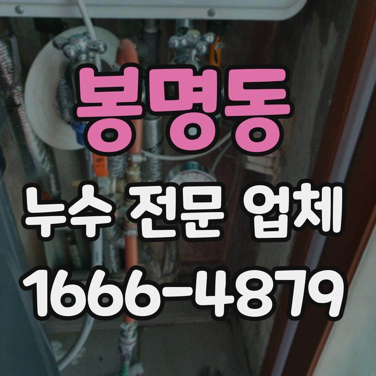 봉명동 누수 전문 업체