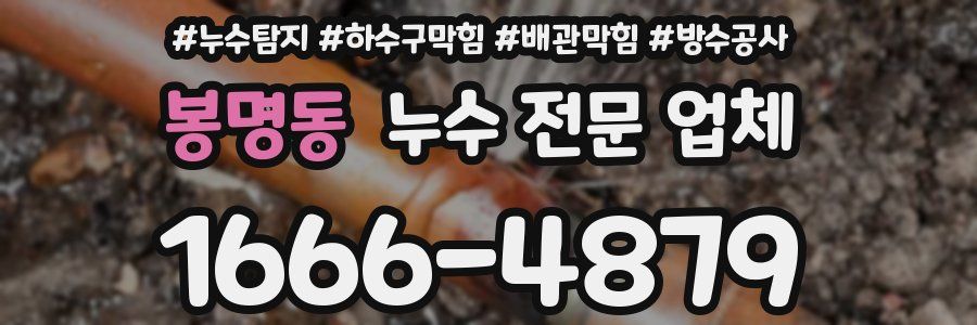 봉명동 누수 전문 업체