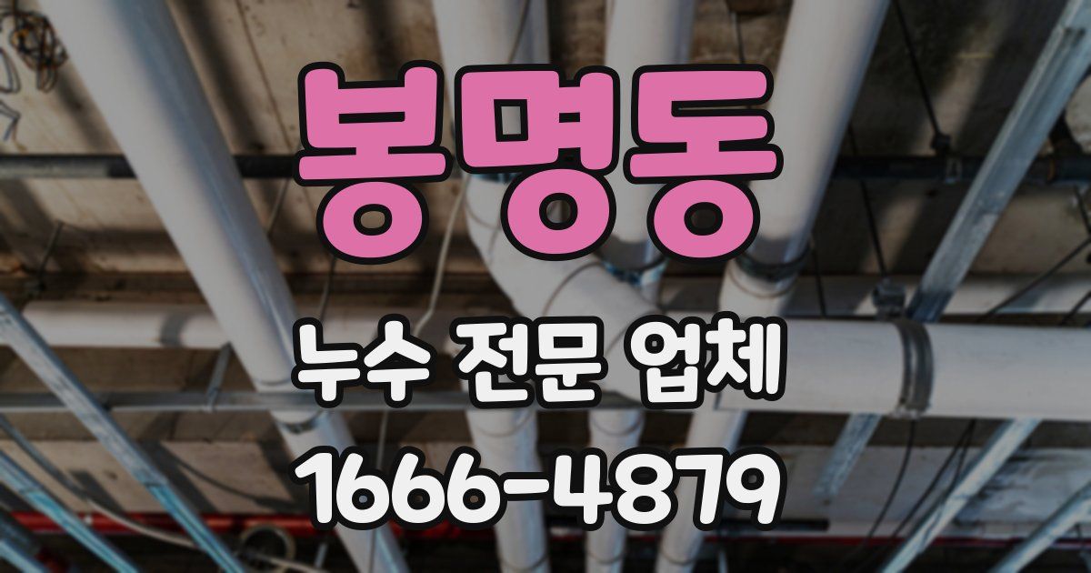 봉명동 누수 전문 업체