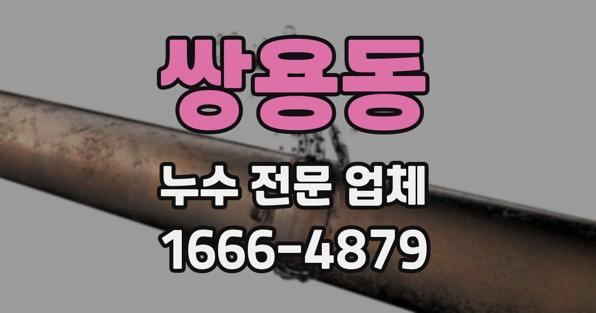 쌍용동 누수 전문 업체