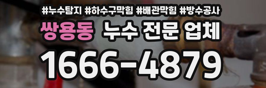 쌍용동 누수 전문 업체