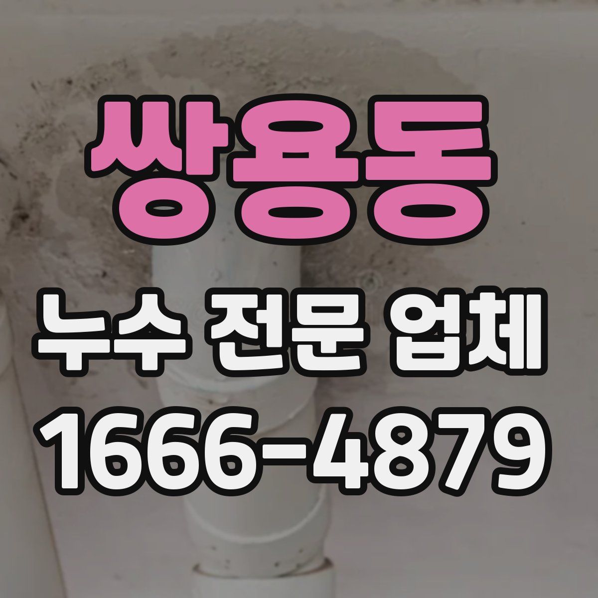쌍용동 누수 전문 업체