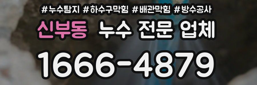 신부동 누수 전문 업체