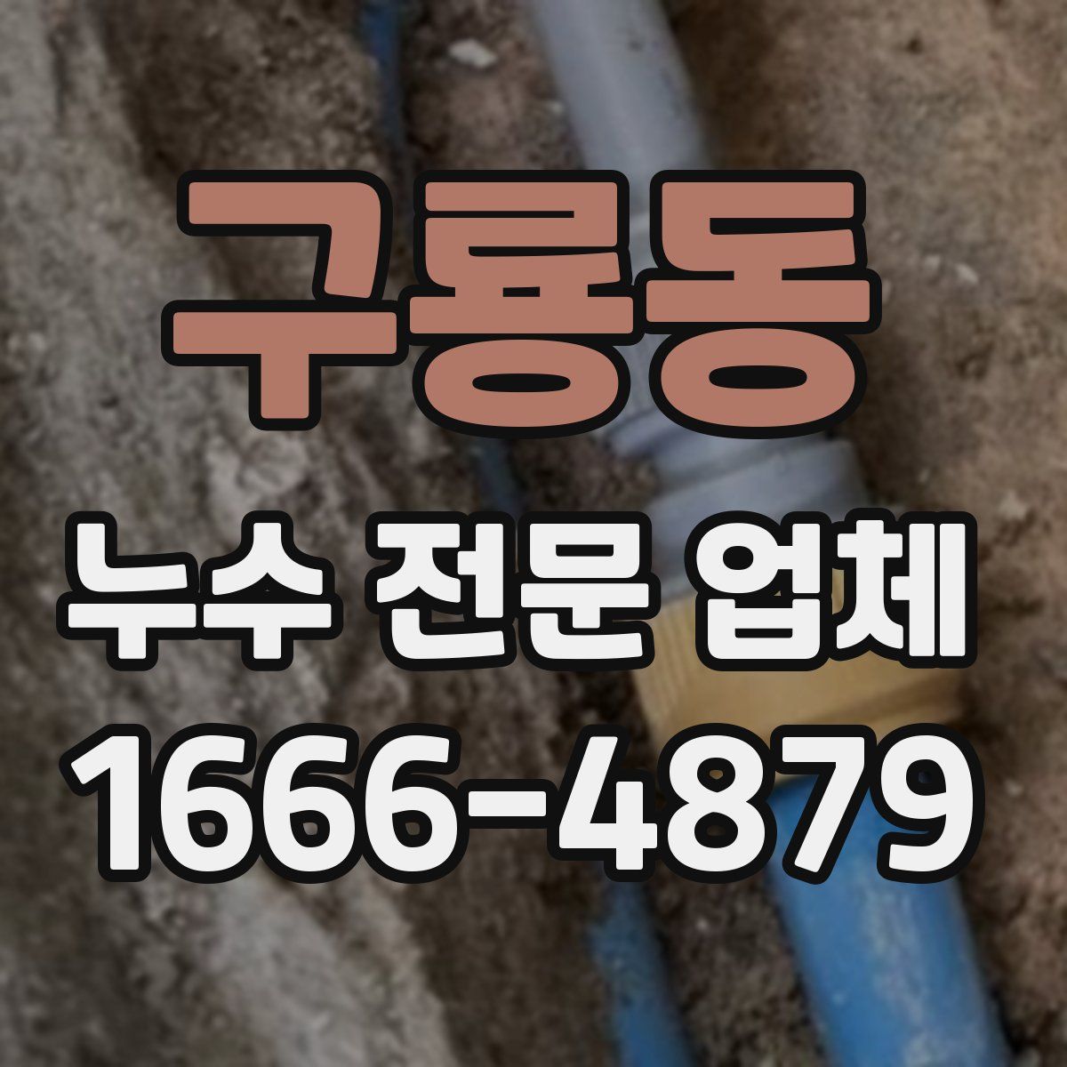구룡동 누수 전문 업체