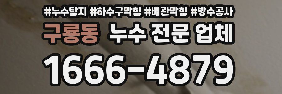 구룡동 누수 전문 업체
