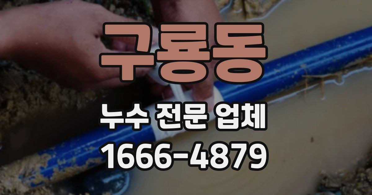 구룡동 누수 전문 업체