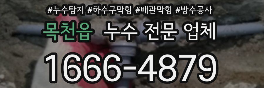 목천읍 누수 전문 업체