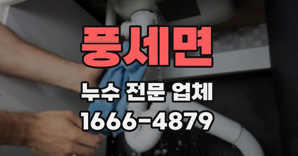 풍세면 누수 전문 업체