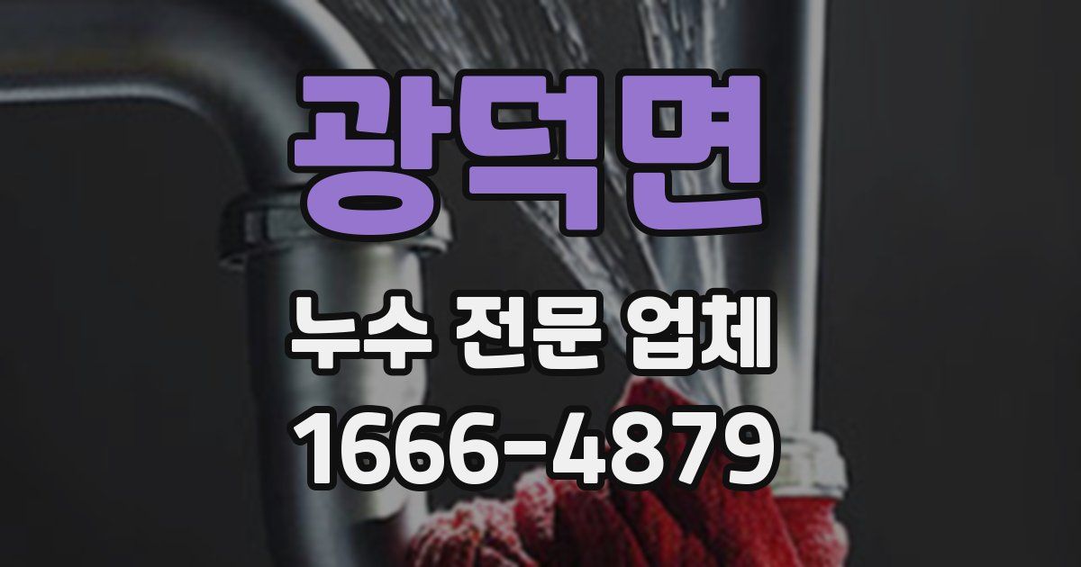 광덕면 누수 전문 업체