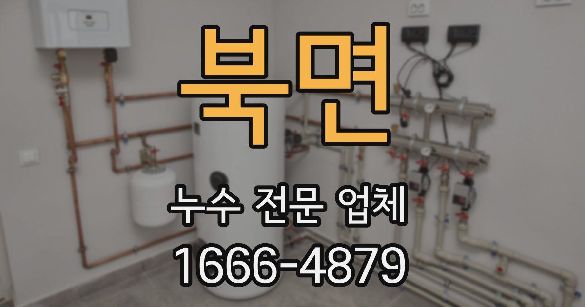 북면 누수 전문 업체