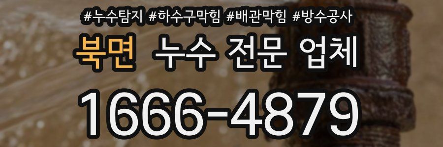 북면 누수 전문 업체