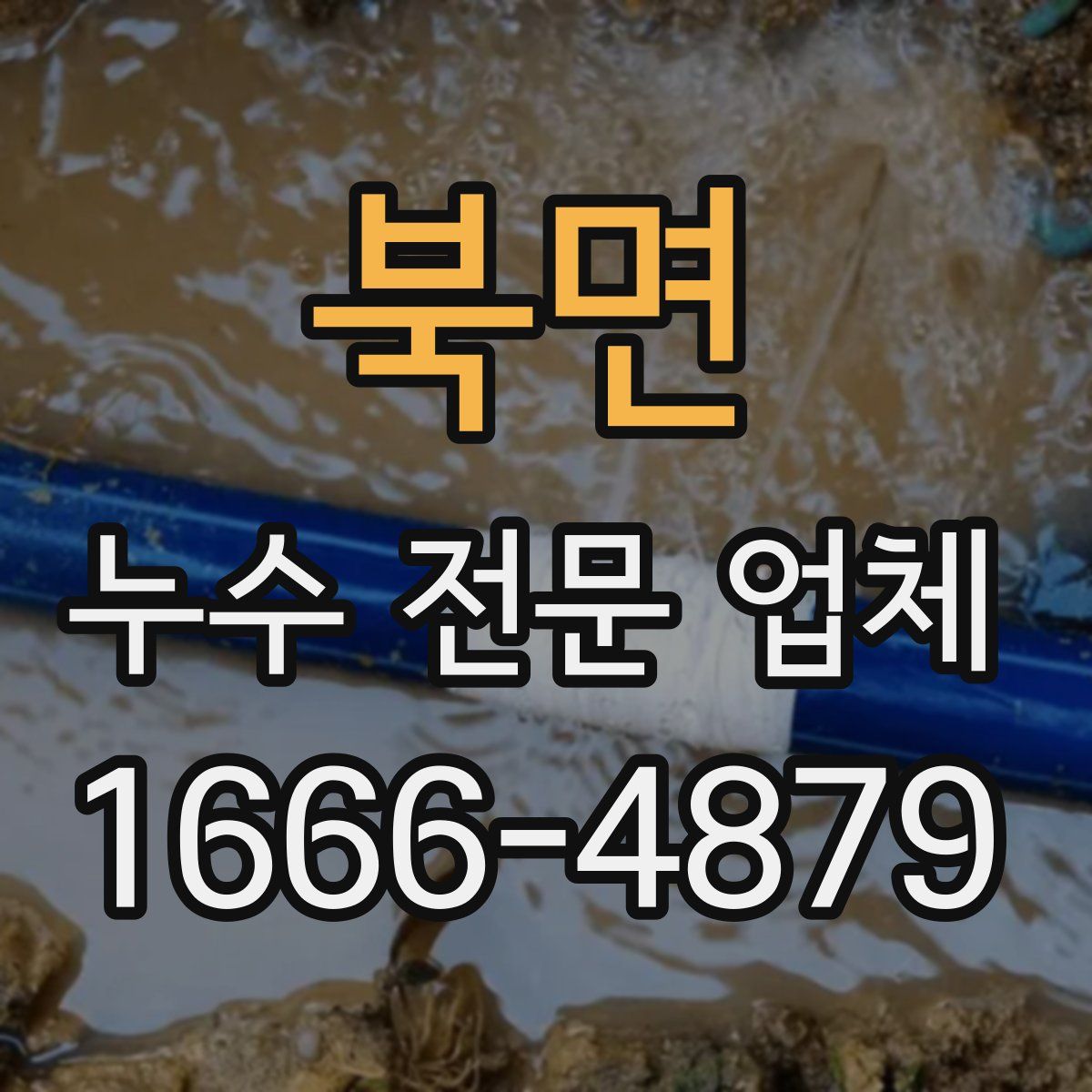 북면 누수 전문 업체