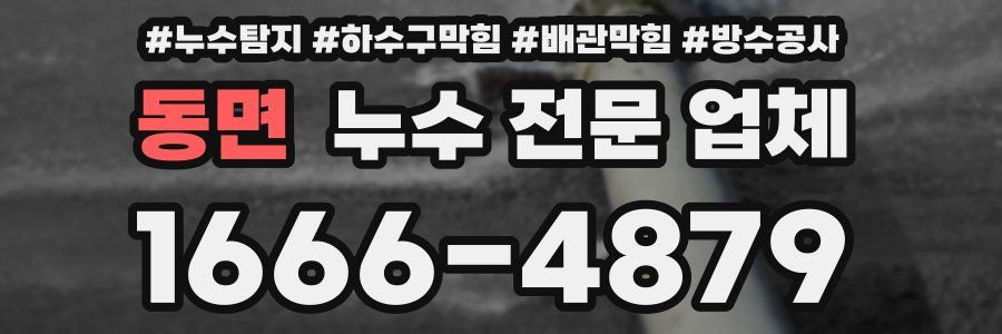 동면 누수 전문 업체