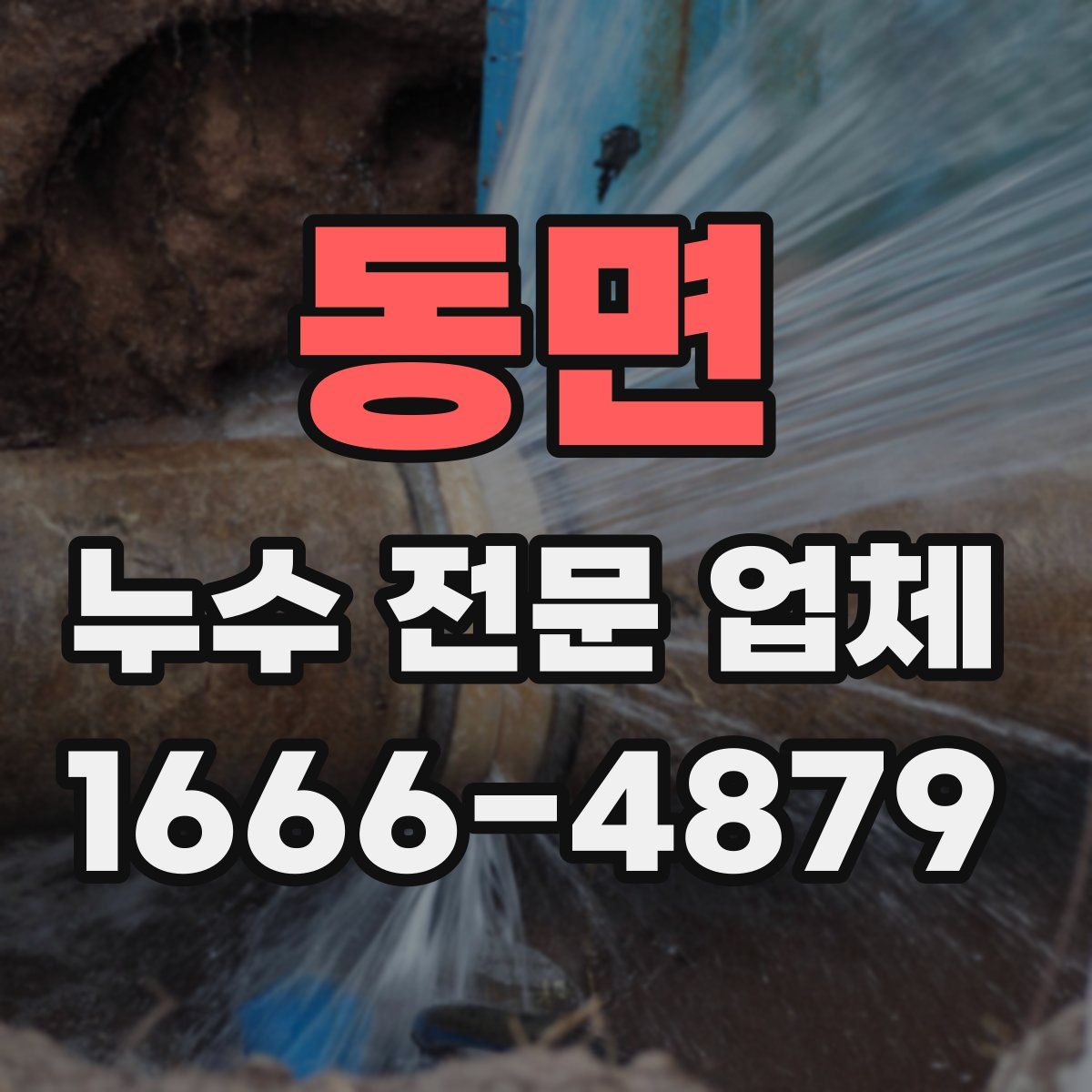 동면 누수 전문 업체
