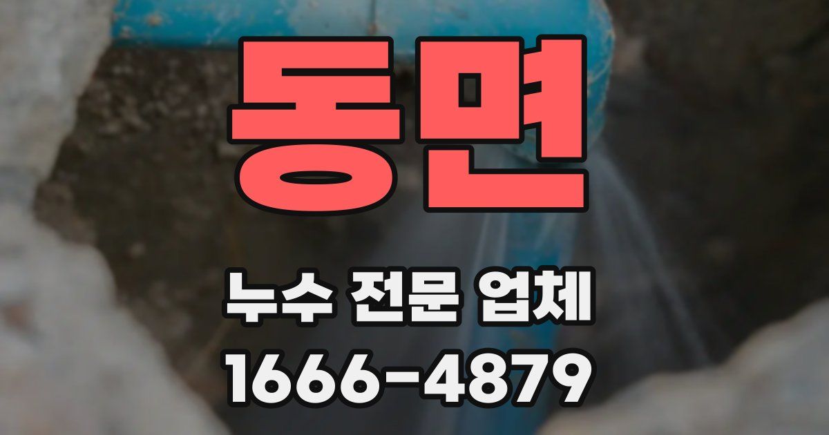 동면 누수 전문 업체