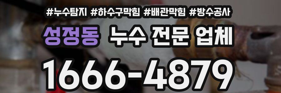 성정동 누수 전문 업체
