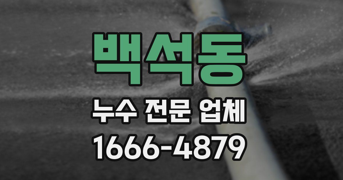 백석동 누수 전문 업체