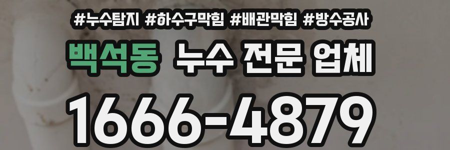 백석동 누수 전문 업체