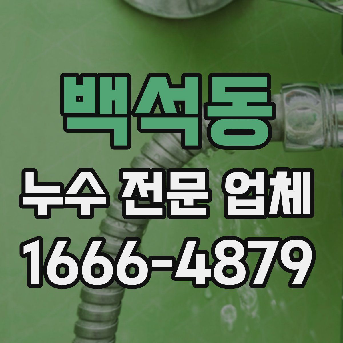 백석동 누수 전문 업체