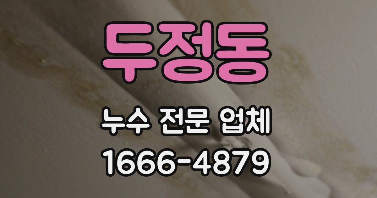 두정동 누수 전문 업체