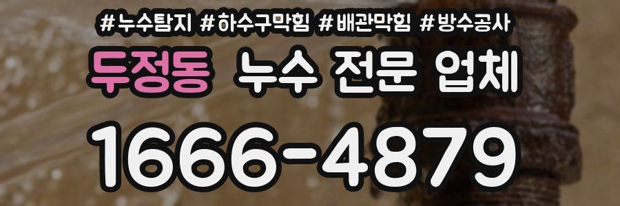 두정동 누수 전문 업체