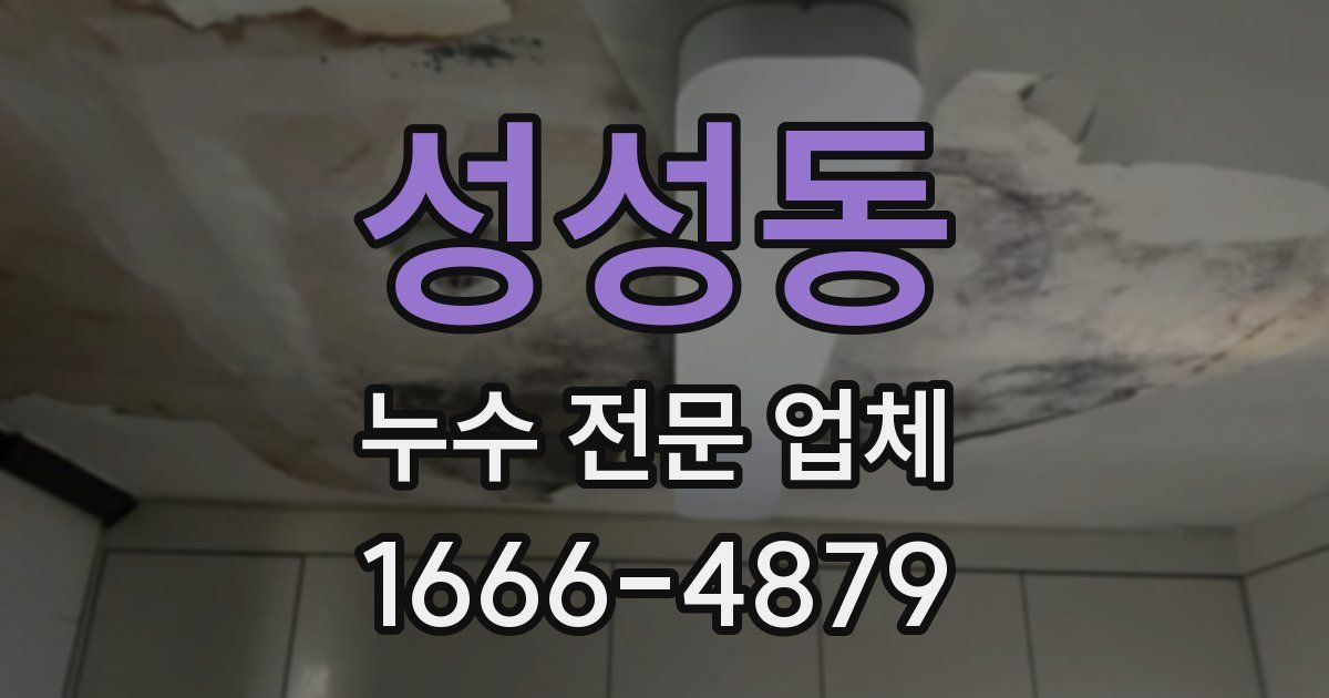 성성동 누수 전문 업체