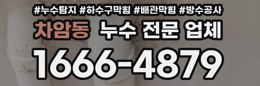 차암동 누수 전문 업체