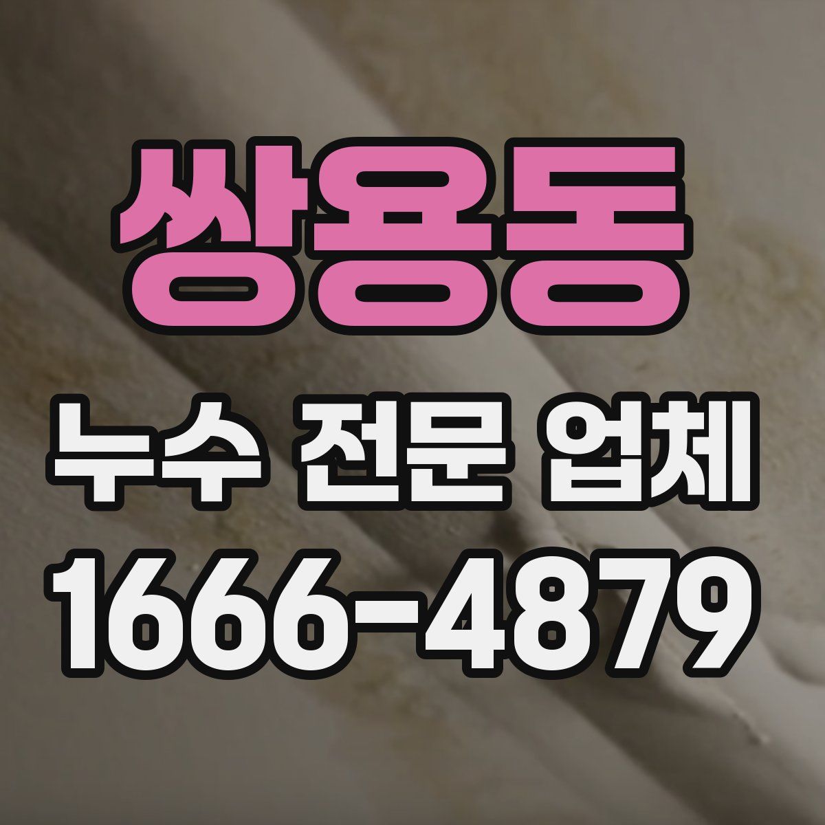 쌍용동 누수 전문 업체