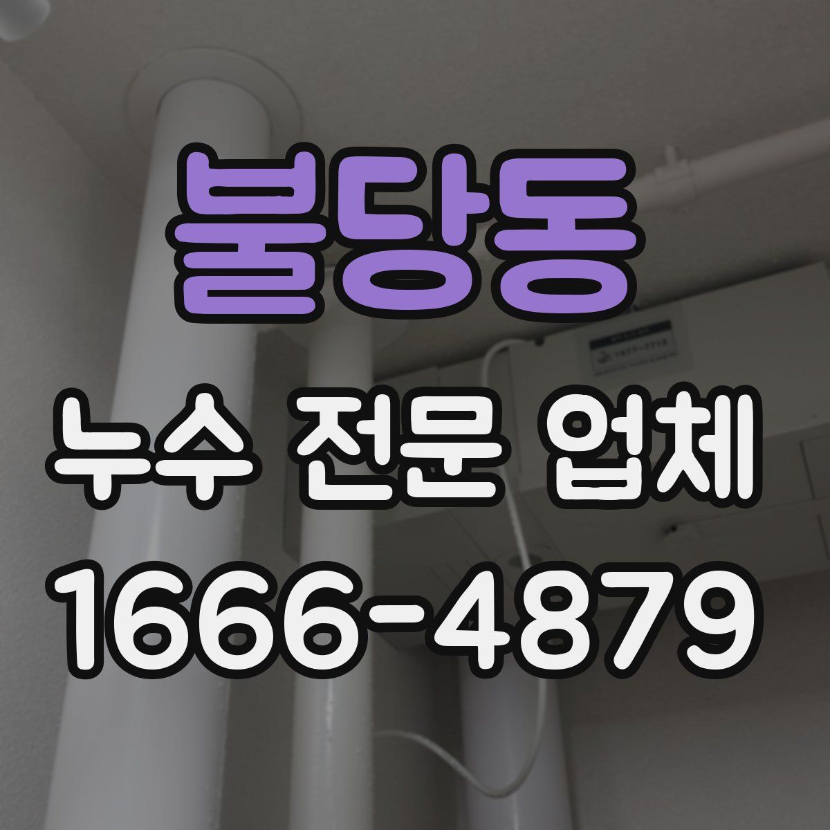 불당동 누수 전문 업체
