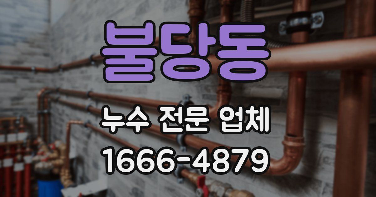 불당동 누수 전문 업체