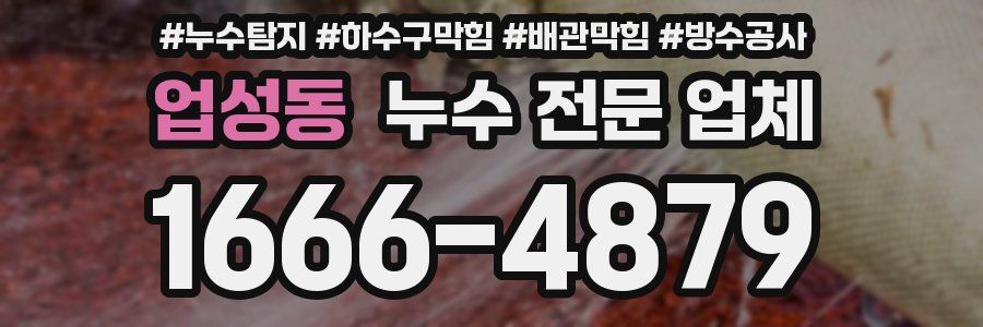 업성동 누수 전문 업체