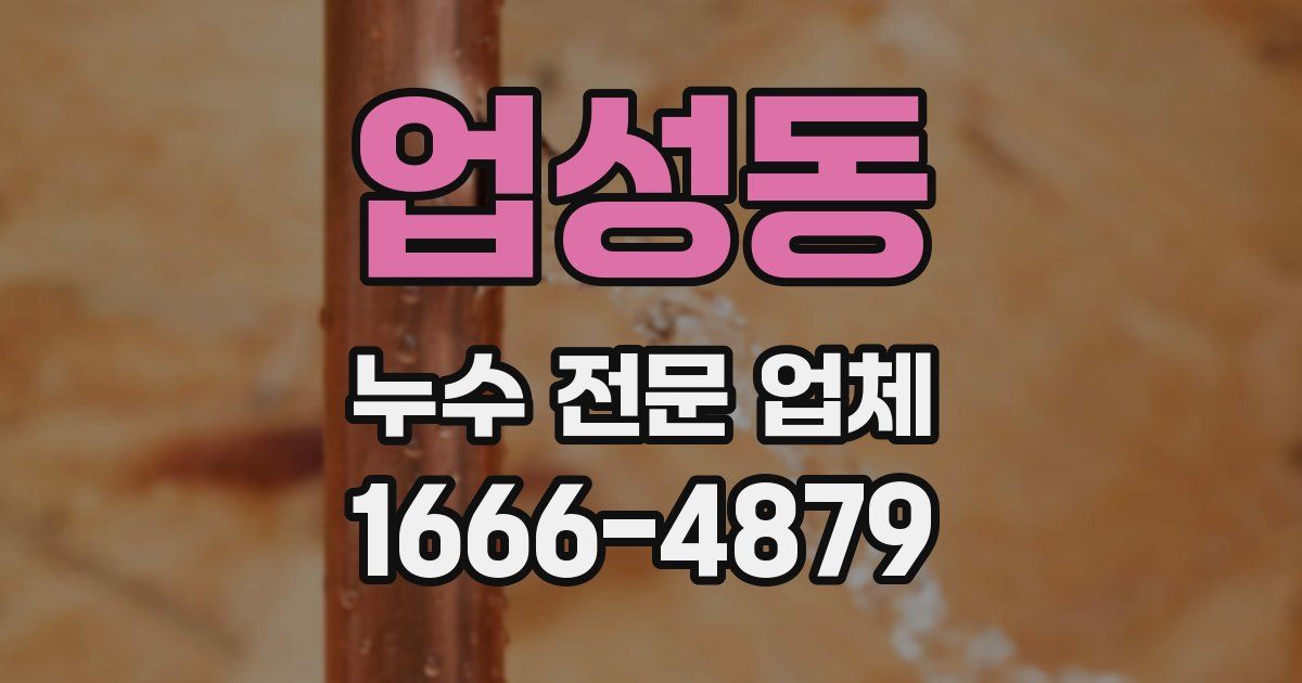 업성동 누수 전문 업체