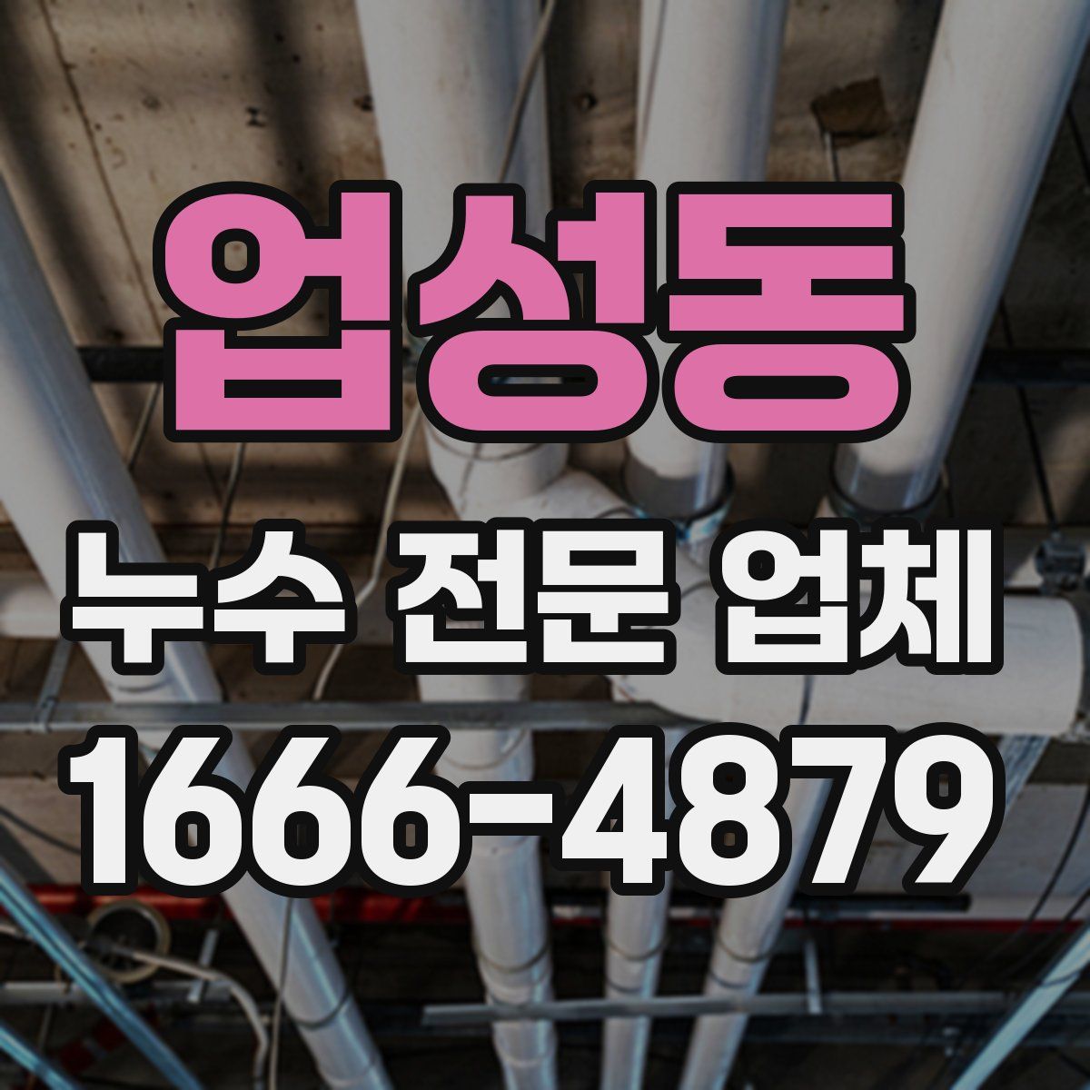 업성동 누수 전문 업체