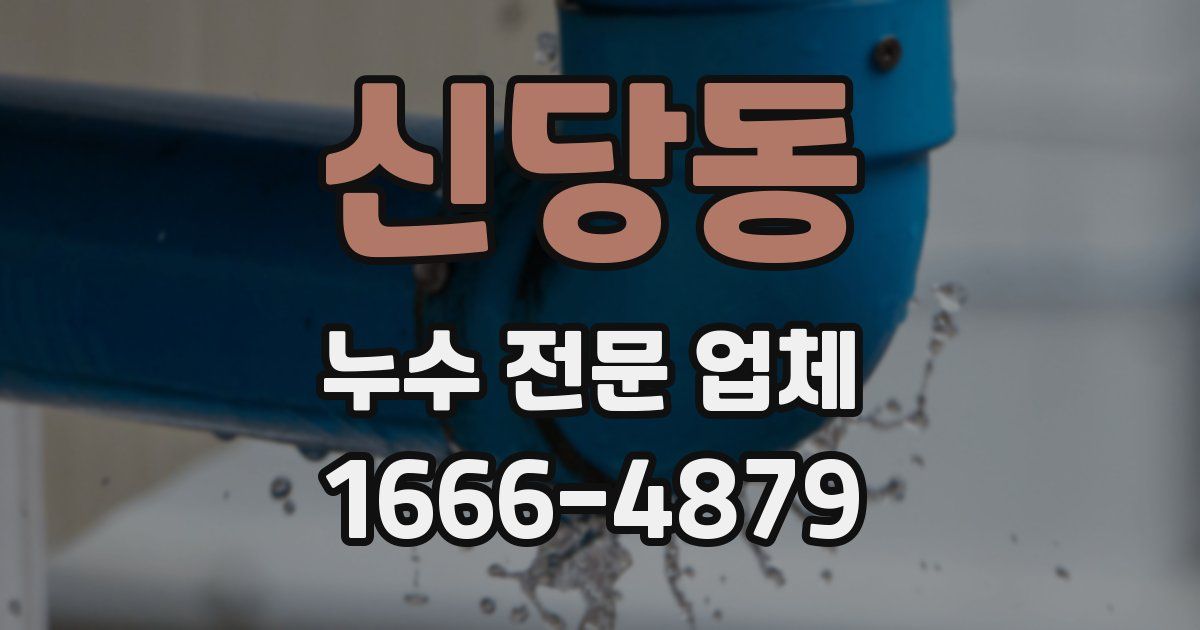신당동 누수 전문 업체