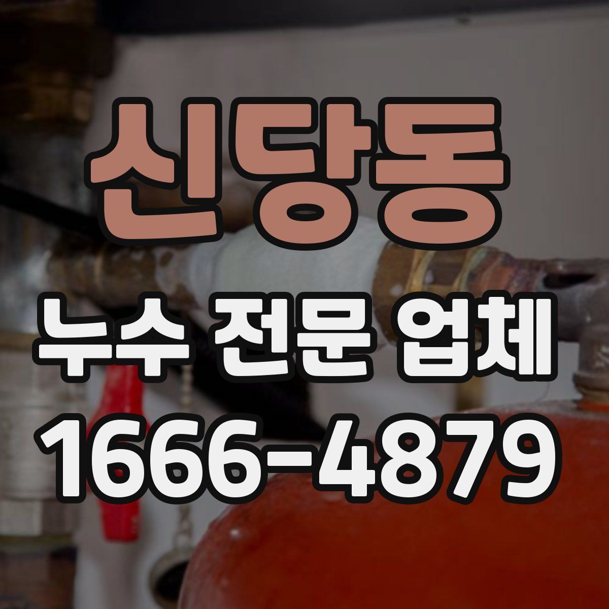 신당동 누수 전문 업체
