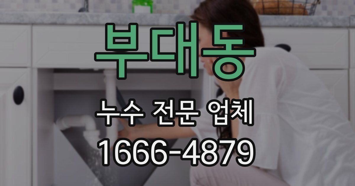 부대동 누수 전문 업체