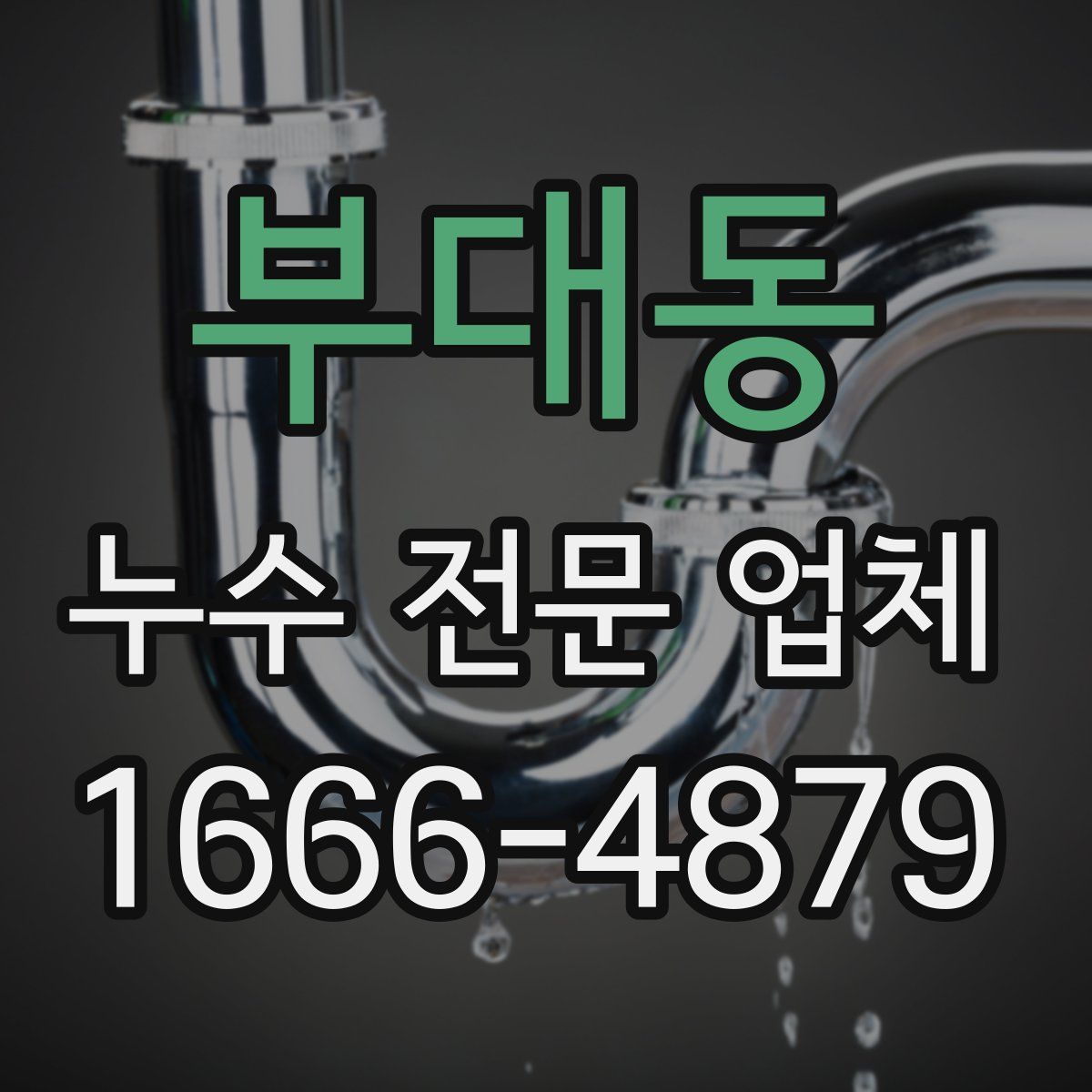 부대동 누수 전문 업체